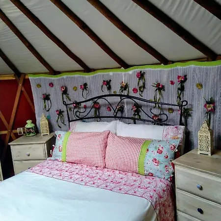 Luxusní stan Woodpecker Yurt