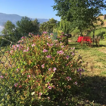 Woodpecker Yurt * Santa Cruz do Douro