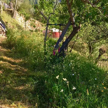 Luksusowy namiot Woodpecker Yurt *