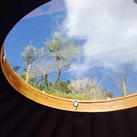 Woodpecker Yurt Campo de lujo *