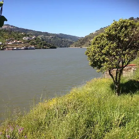 Woodpecker Yurt Santa Cruz do Douro